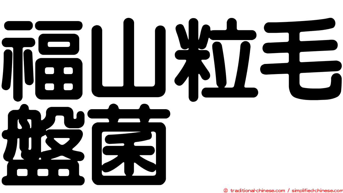 福山粒毛盤菌