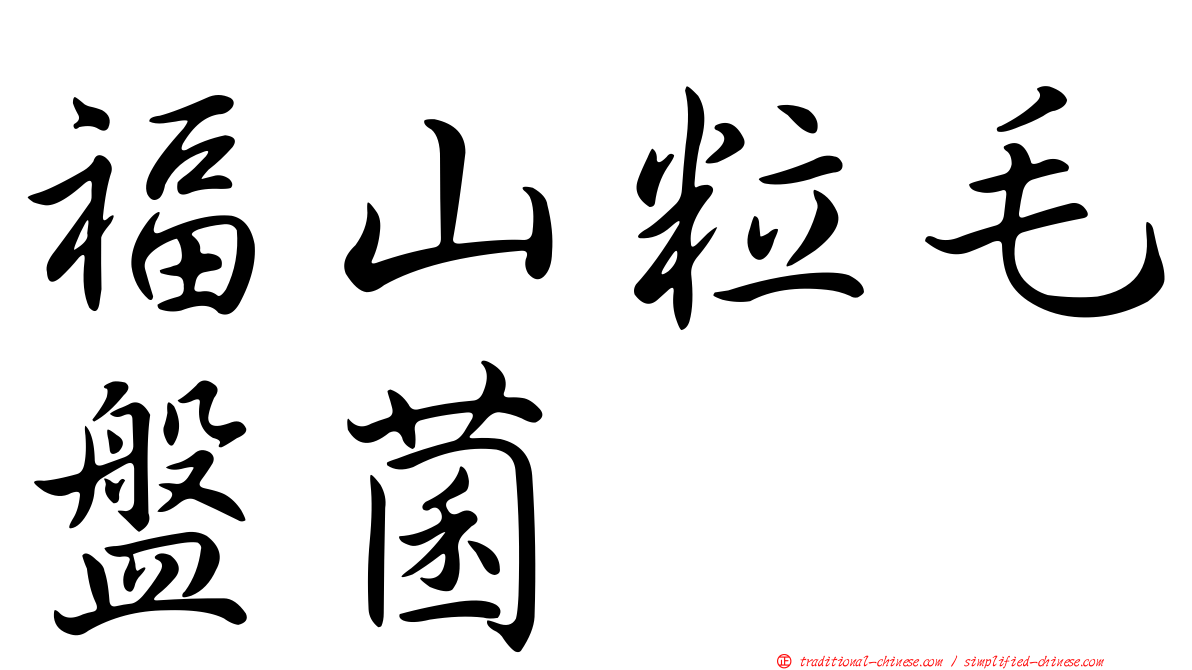 福山粒毛盤菌