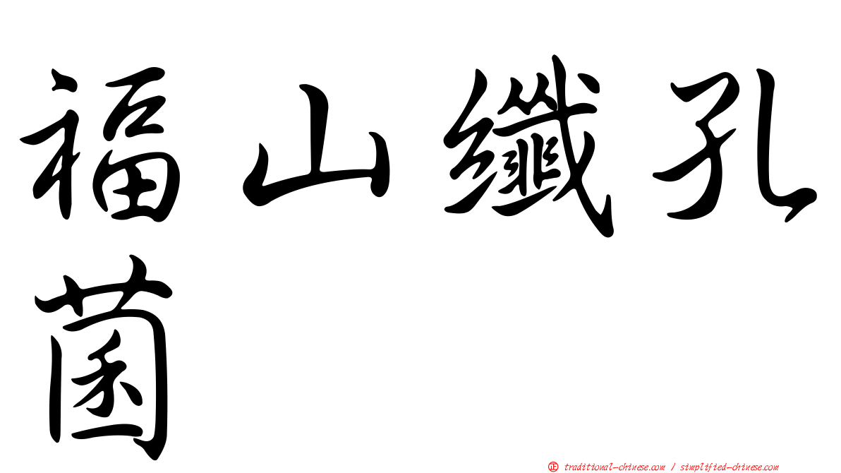 福山纖孔菌