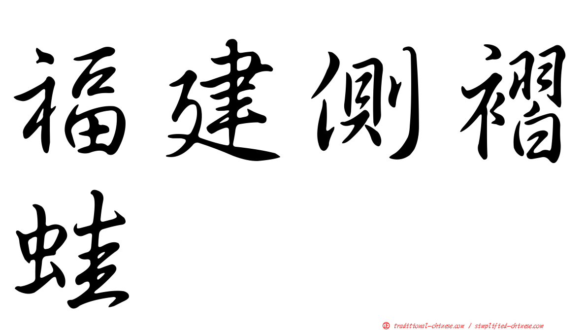 福建側褶蛙