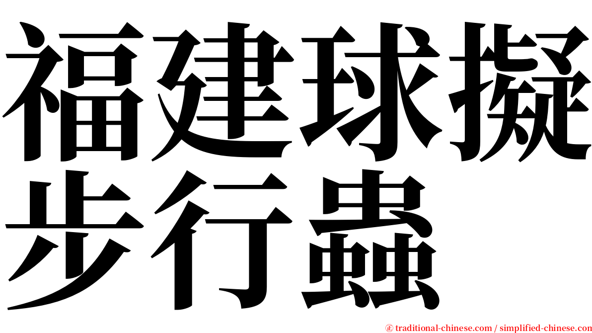 福建球擬步行蟲 serif font