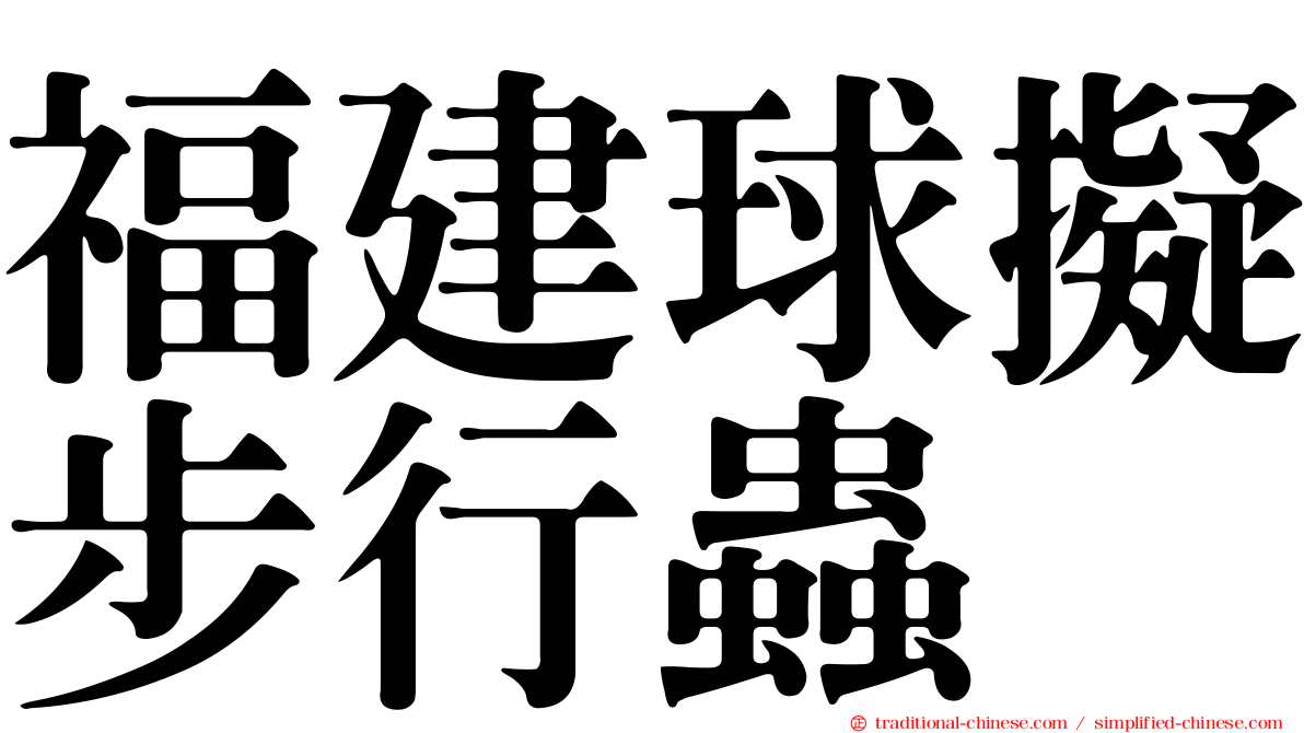福建球擬步行蟲