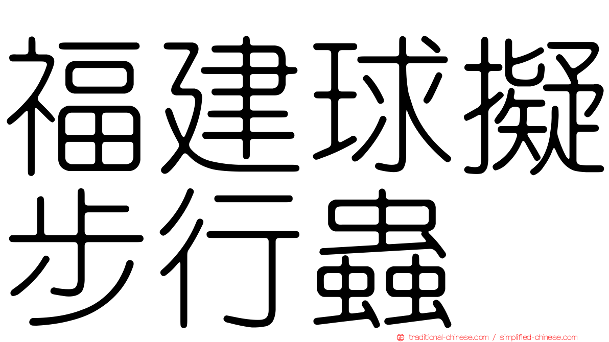 福建球擬步行蟲