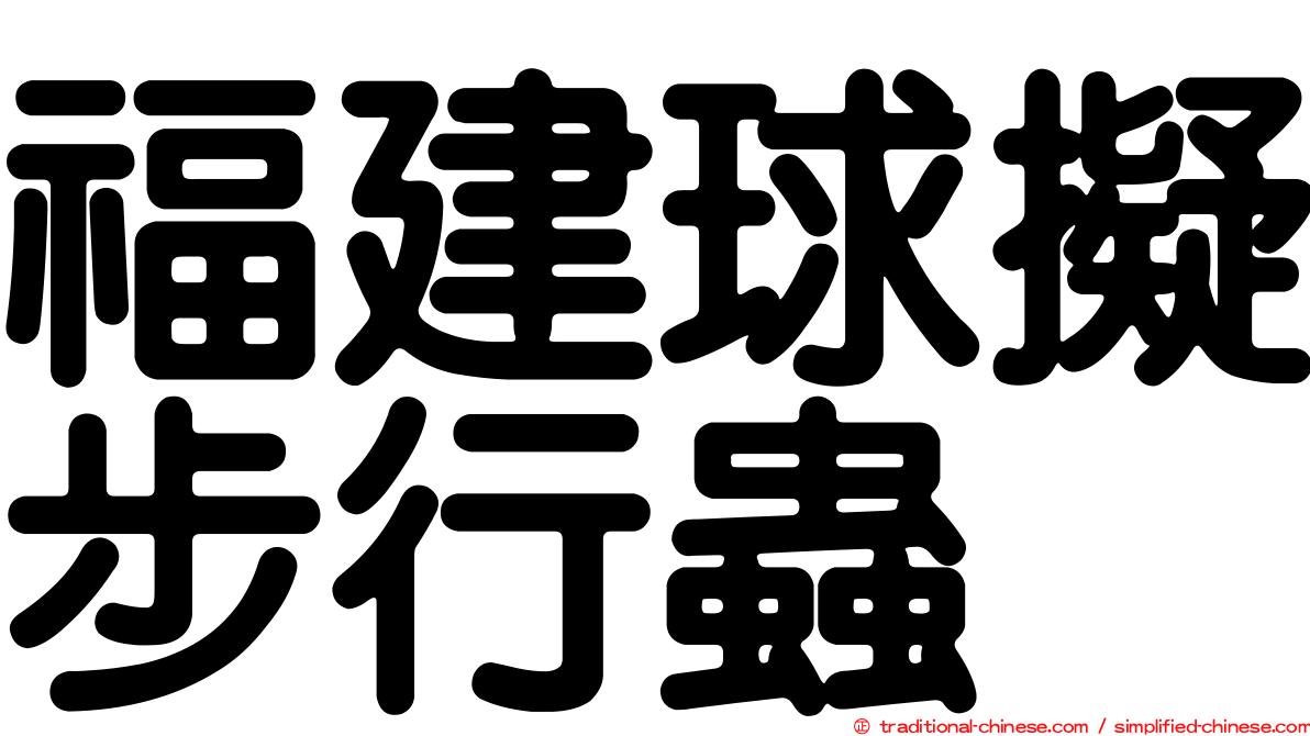 福建球擬步行蟲