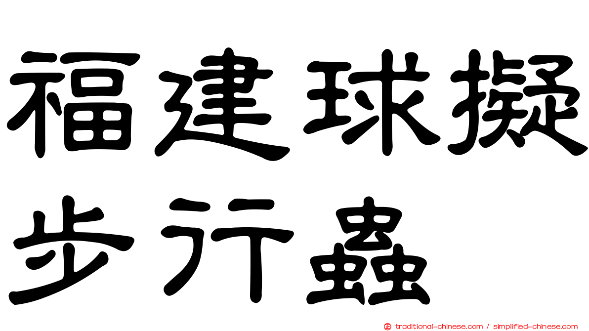 福建球擬步行蟲