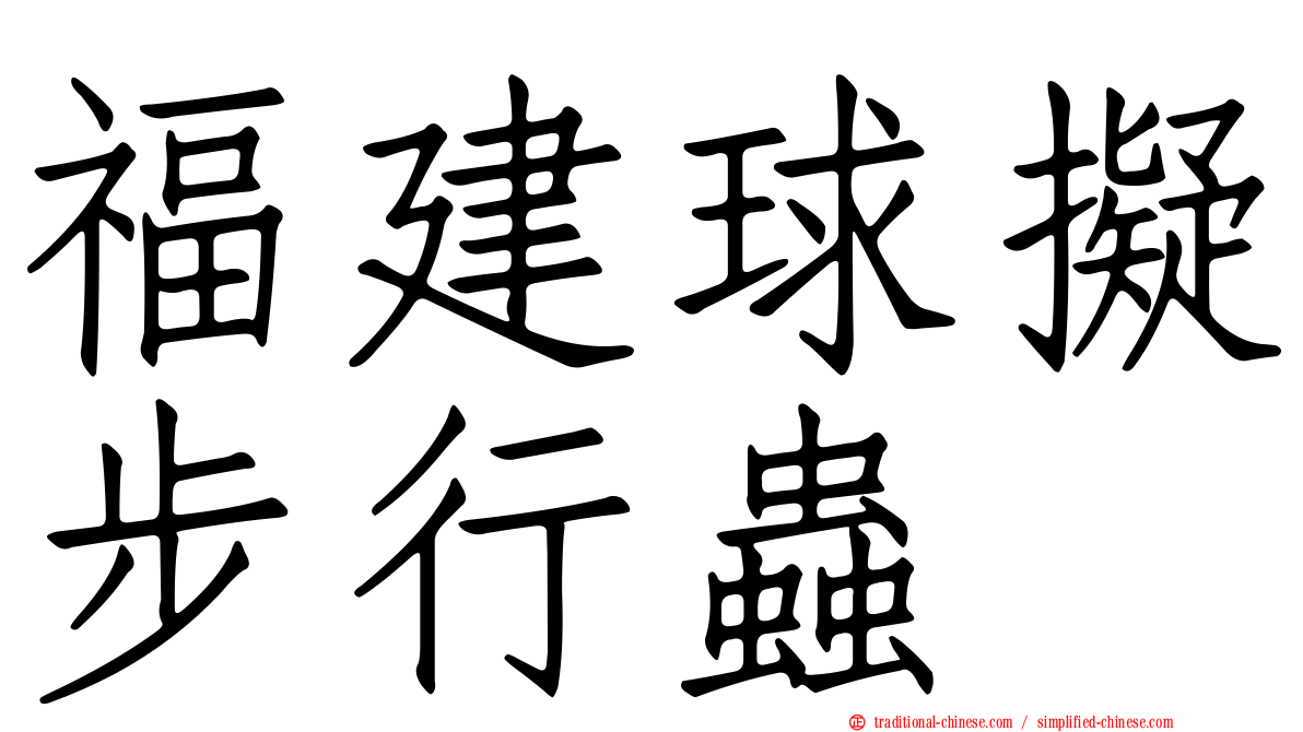 福建球擬步行蟲