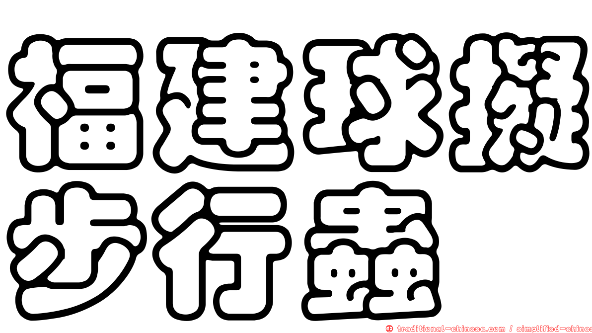 福建球擬步行蟲