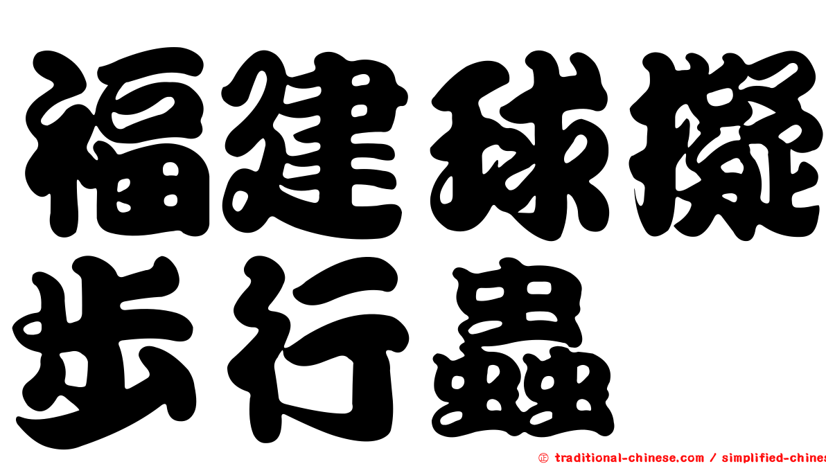 福建球擬步行蟲