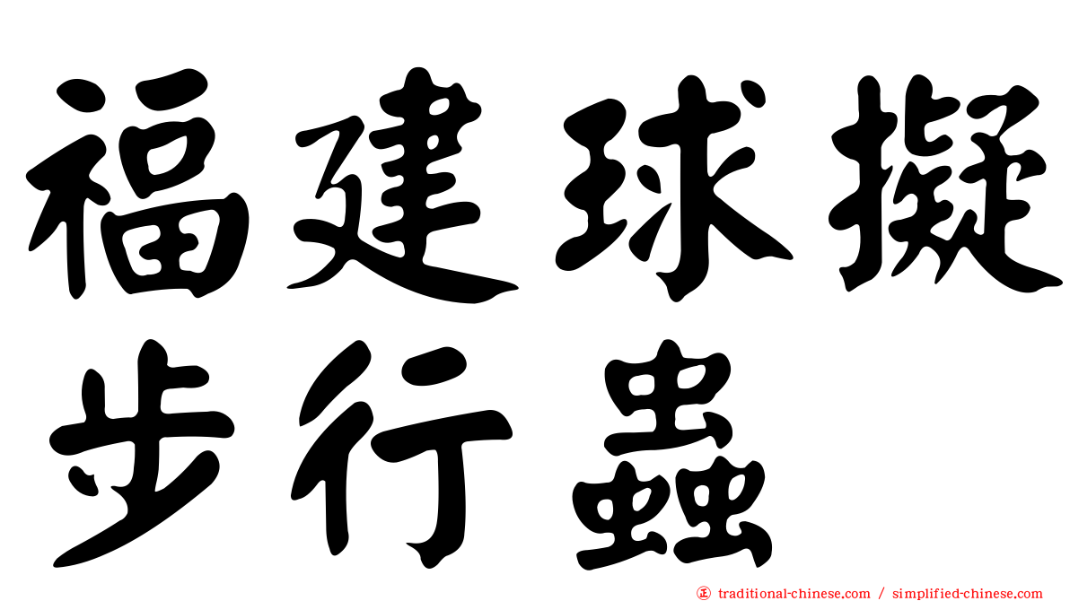 福建球擬步行蟲