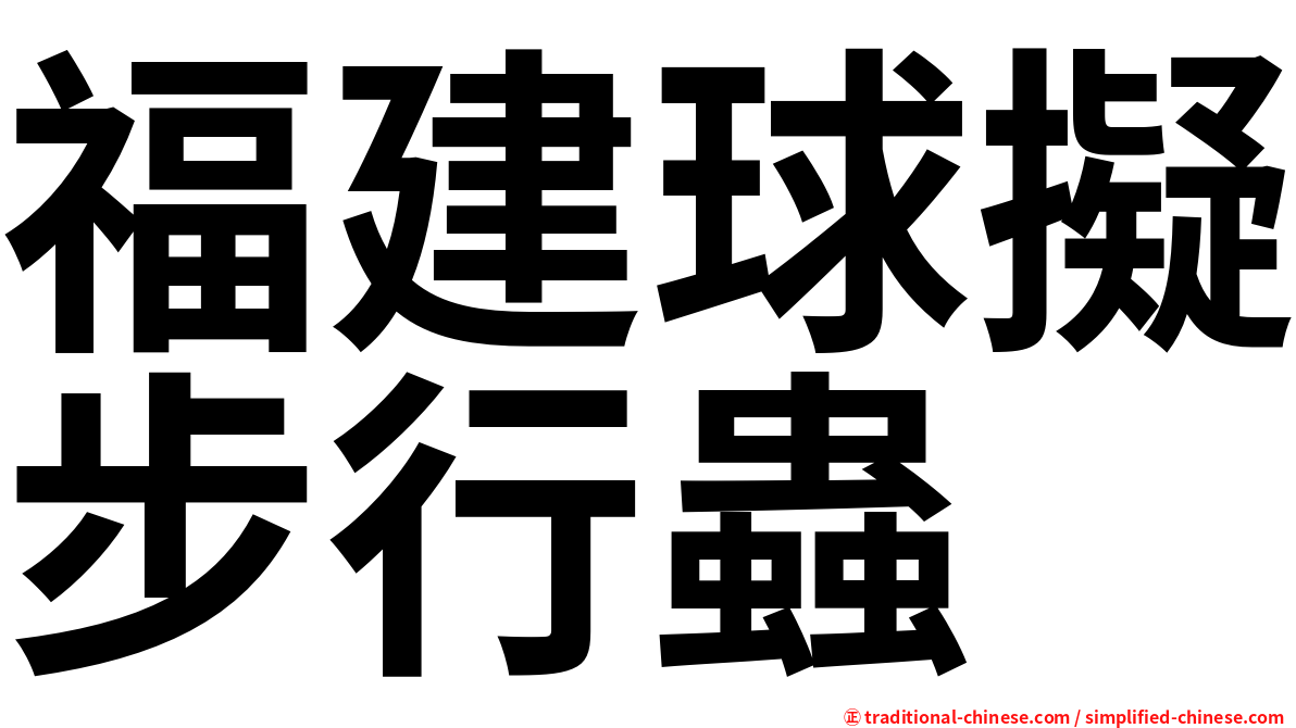 福建球擬步行蟲