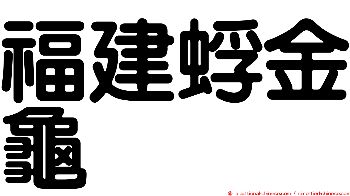 福建蜉金龜