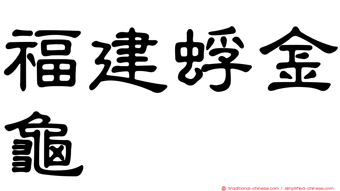 福建蜉金龜