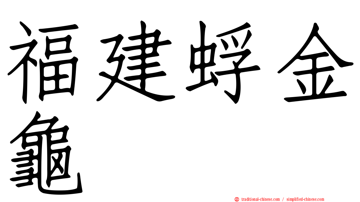 福建蜉金龜