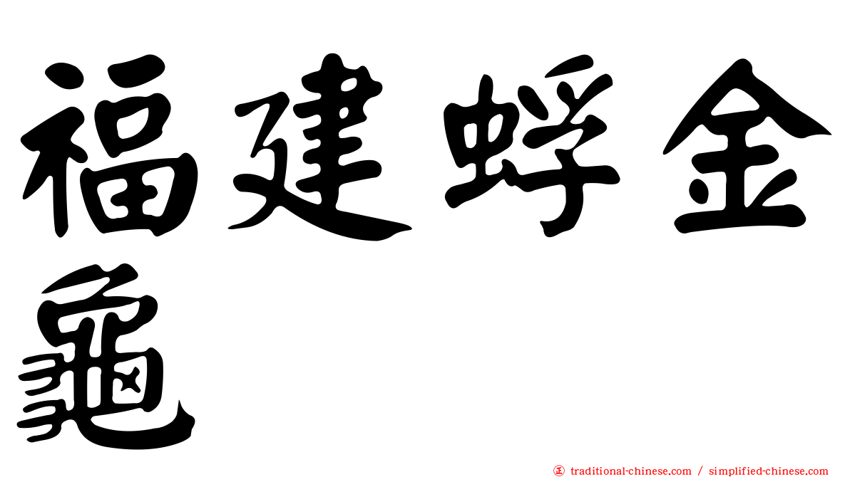 福建蜉金龜