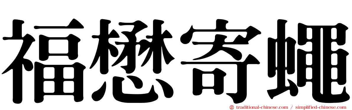 福懋寄蠅