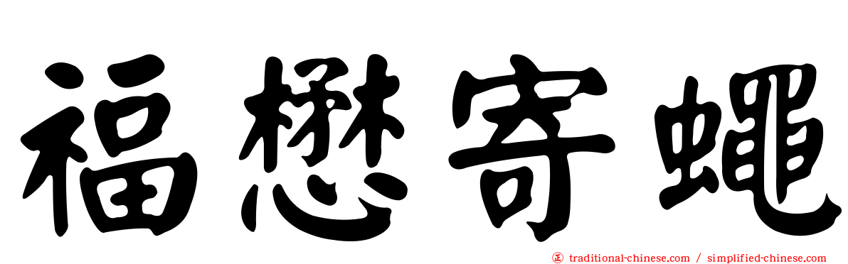 福懋寄蠅