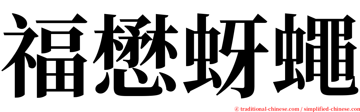 福懋蚜蠅 serif font