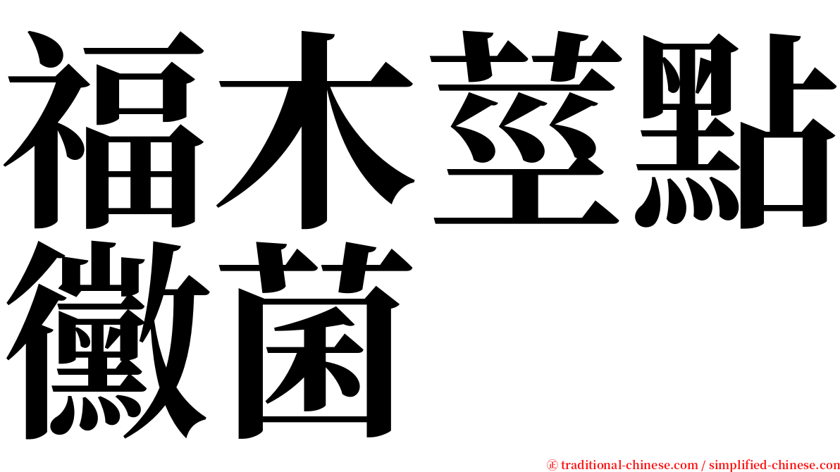 福木莖點黴菌 serif font