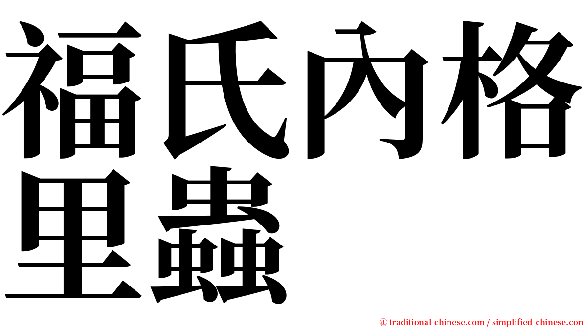 福氏內格里蟲 serif font