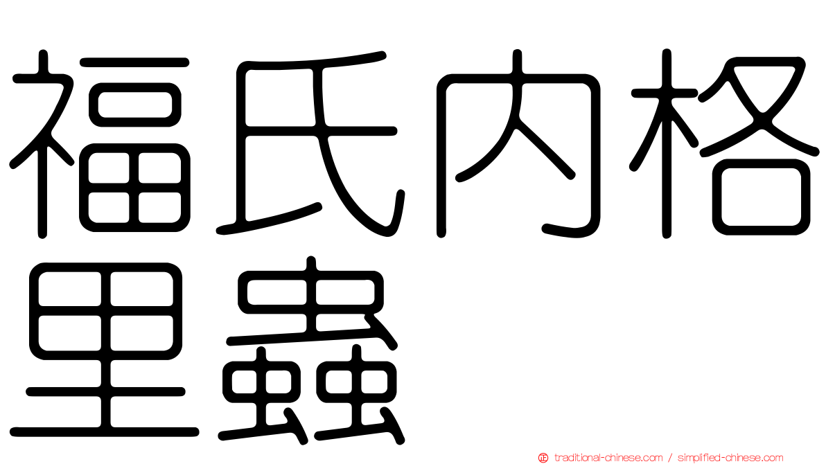 福氏內格里蟲