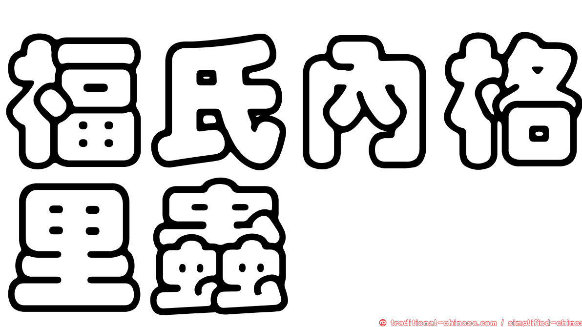 福氏內格里蟲