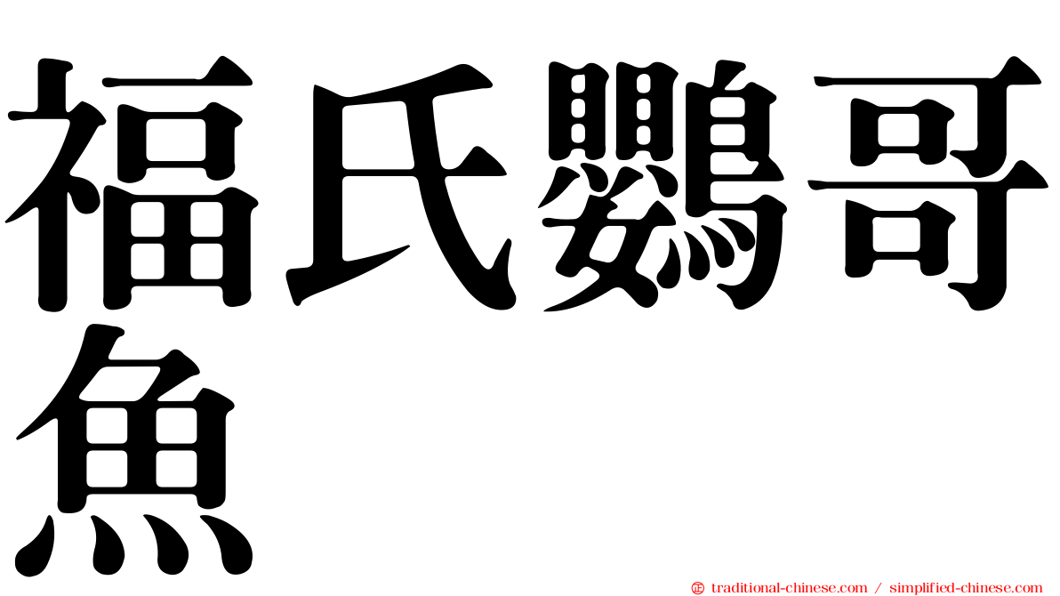 福氏鸚哥魚