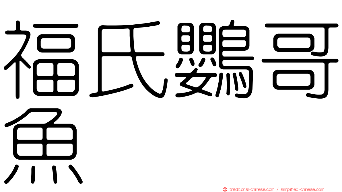 福氏鸚哥魚