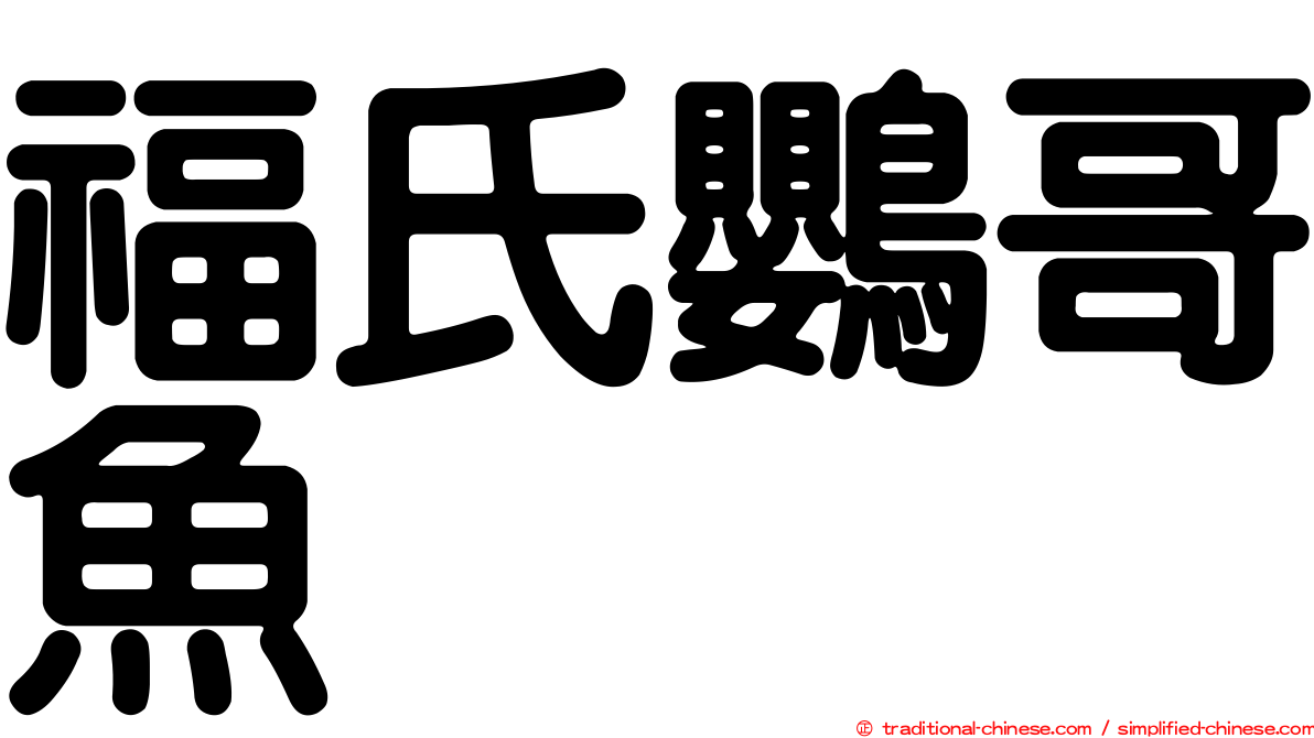 福氏鸚哥魚