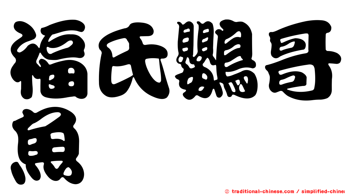 福氏鸚哥魚