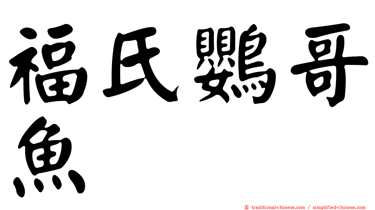 福氏鸚哥魚