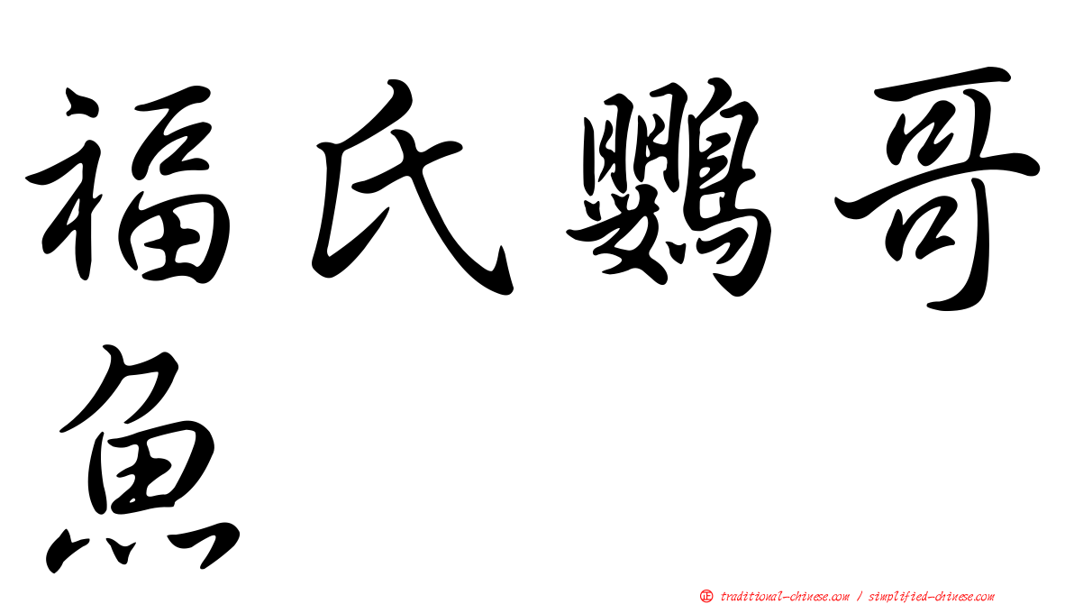 福氏鸚哥魚