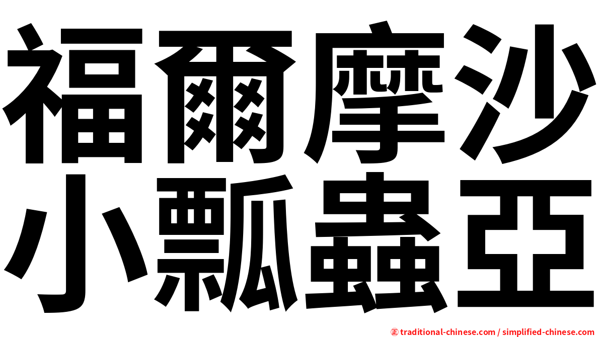 福爾摩沙小瓢蟲亞