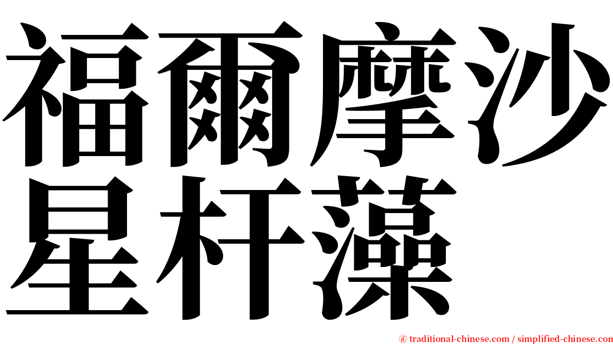 福爾摩沙星杆藻 serif font