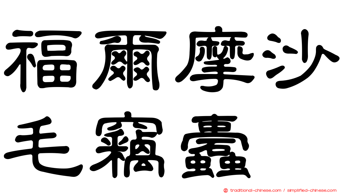 福爾摩沙毛竊蠹
