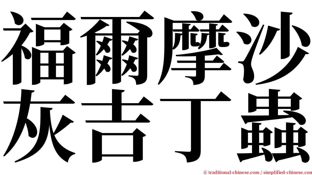 福爾摩沙灰吉丁蟲 serif font