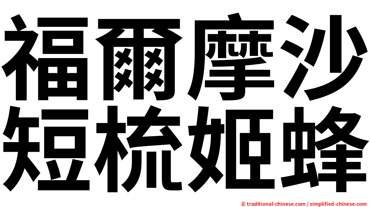 福爾摩沙短梳姬蜂
