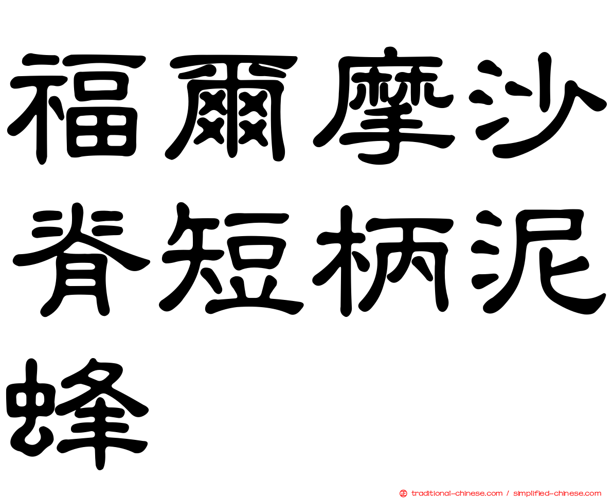 福爾摩沙脊短柄泥蜂