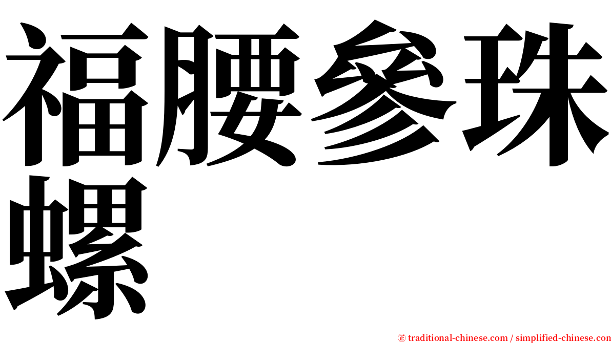 福腰參珠螺 serif font