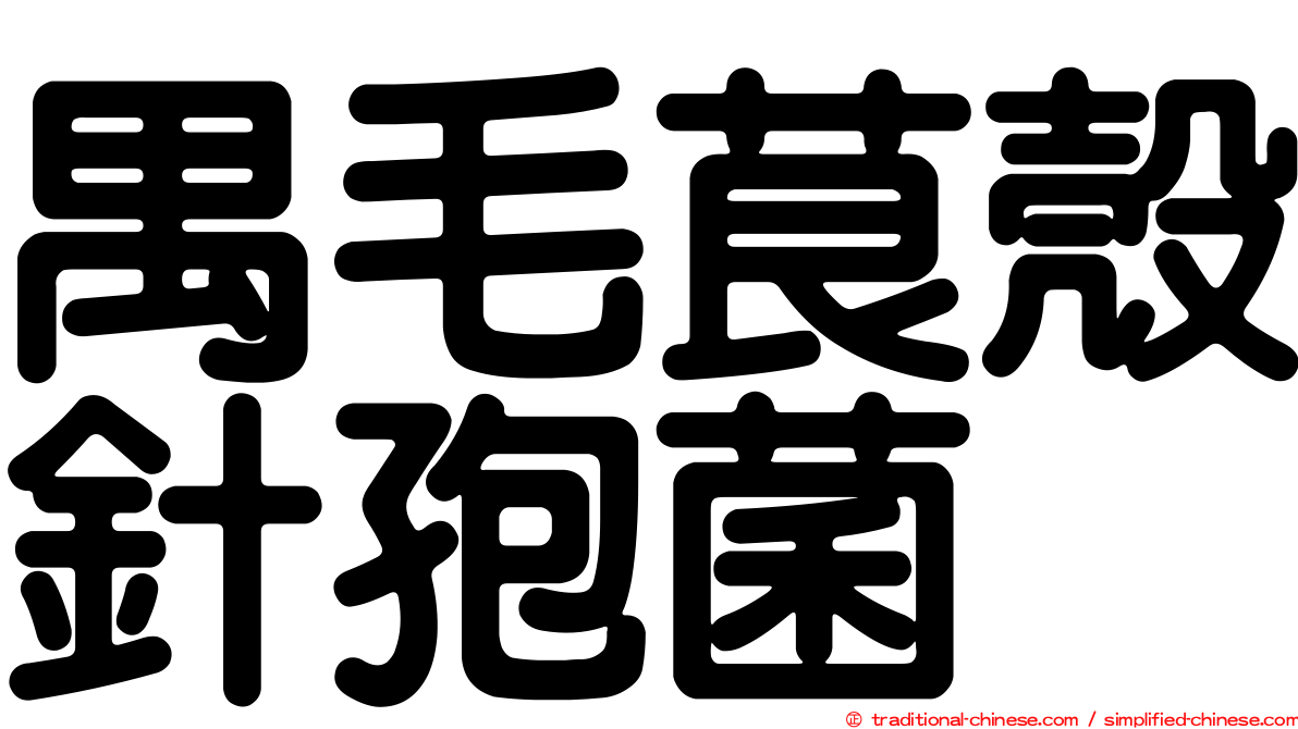 禺毛茛殼針孢菌