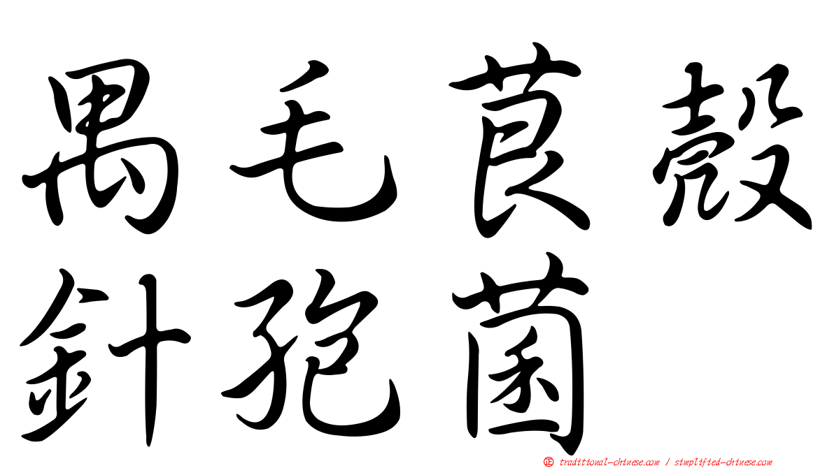 禺毛茛殼針孢菌