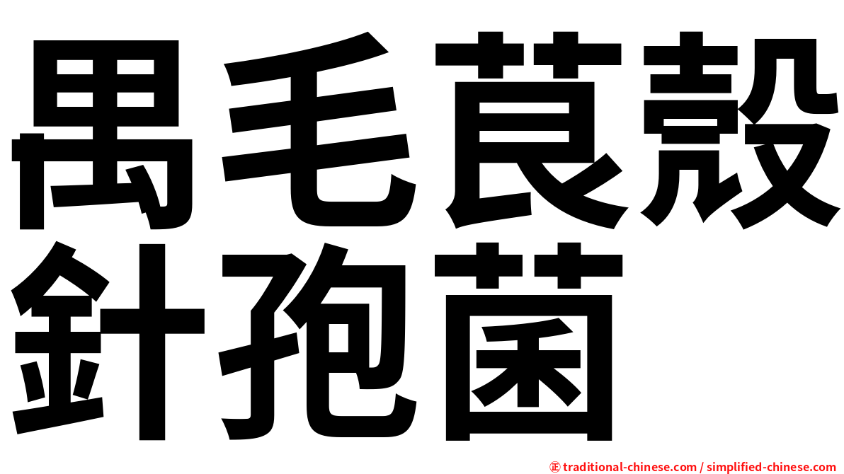 禺毛茛殼針孢菌