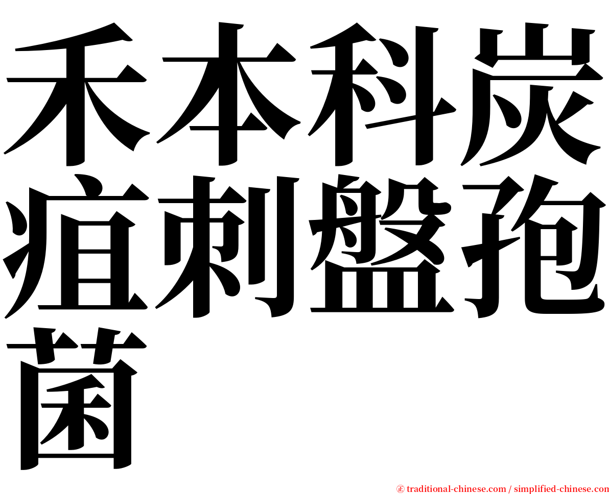 禾本科炭疽刺盤孢菌 serif font