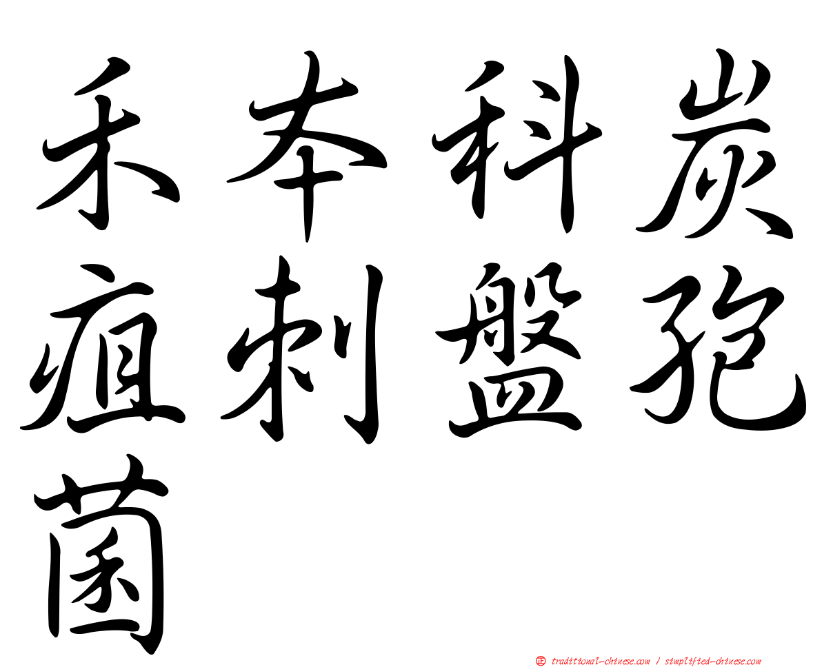 禾本科炭疽刺盤孢菌