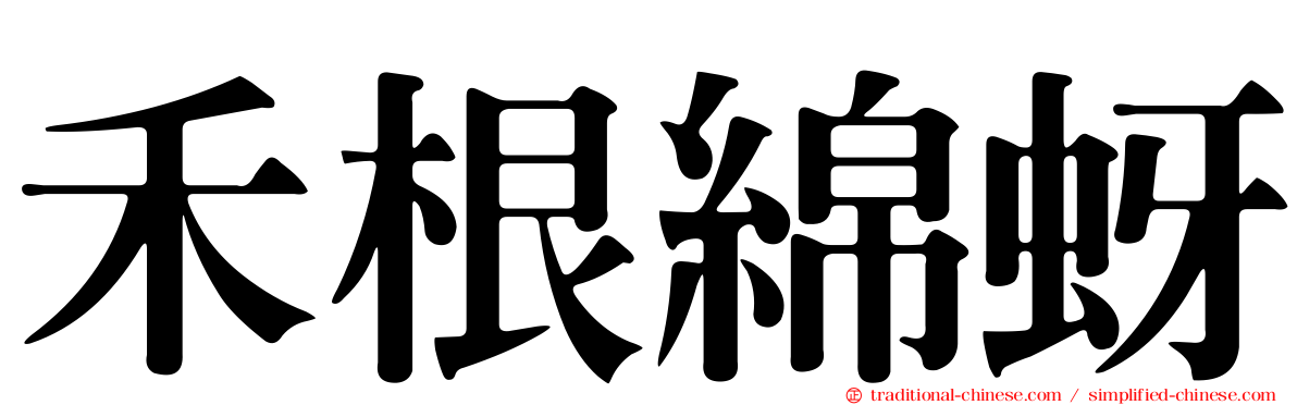 禾根綿蚜