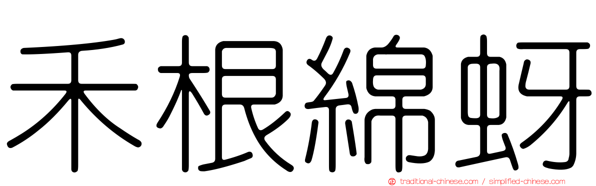 禾根綿蚜