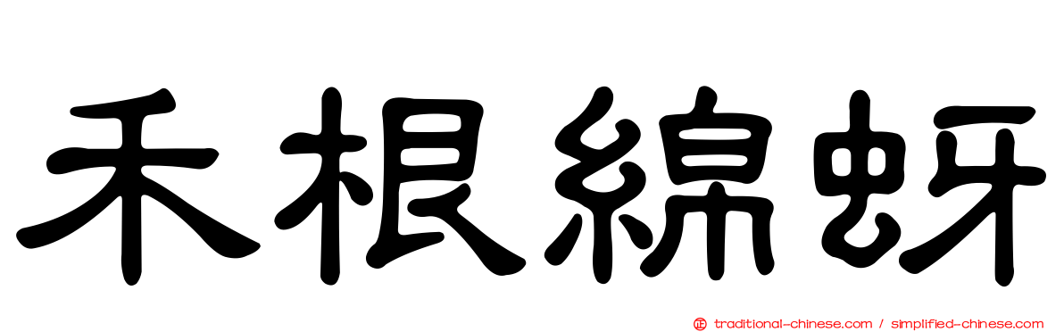禾根綿蚜