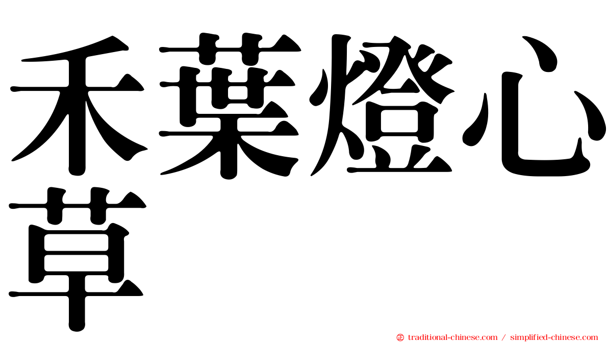 禾葉燈心草