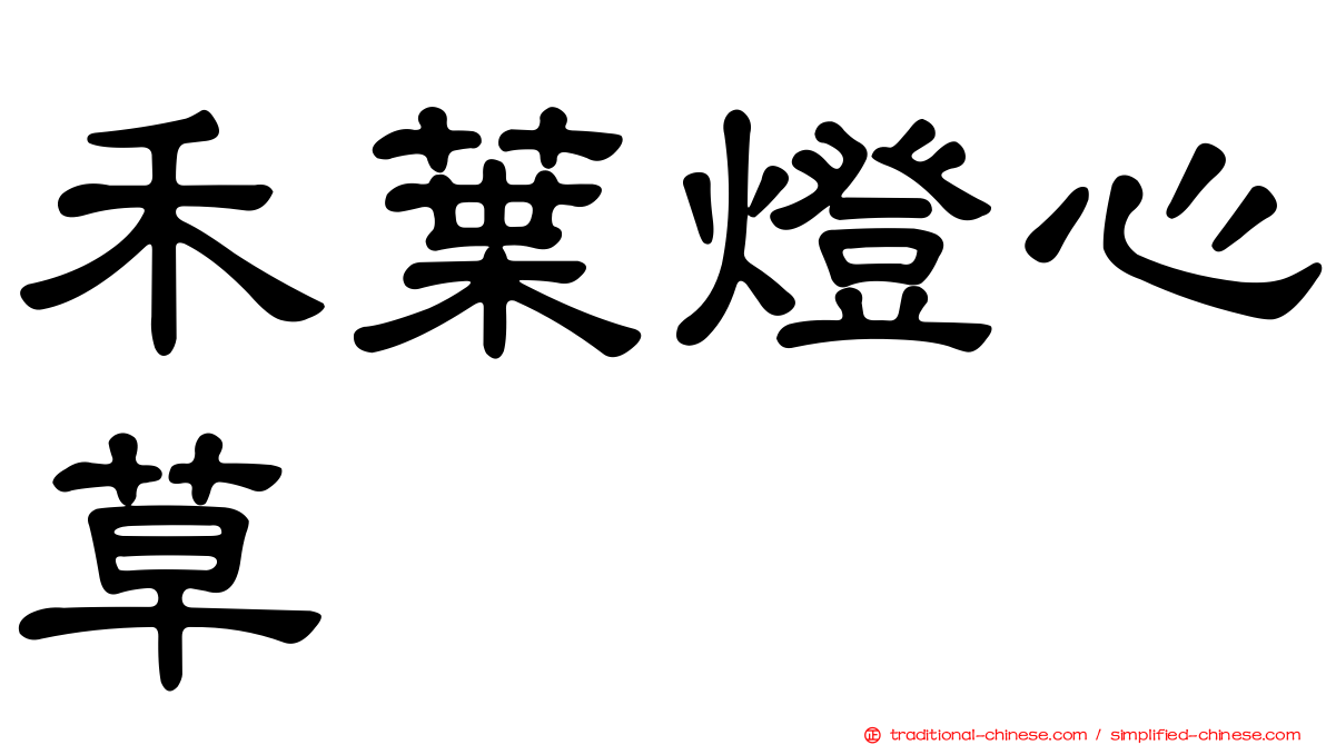 禾葉燈心草