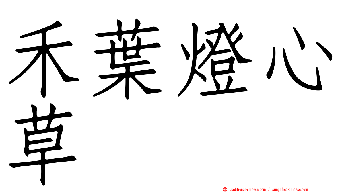 禾葉燈心草