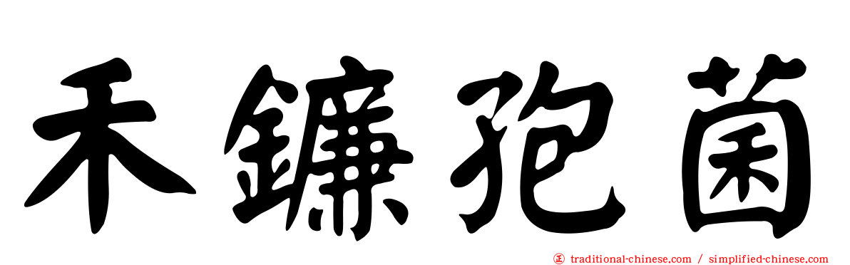 禾鐮孢菌